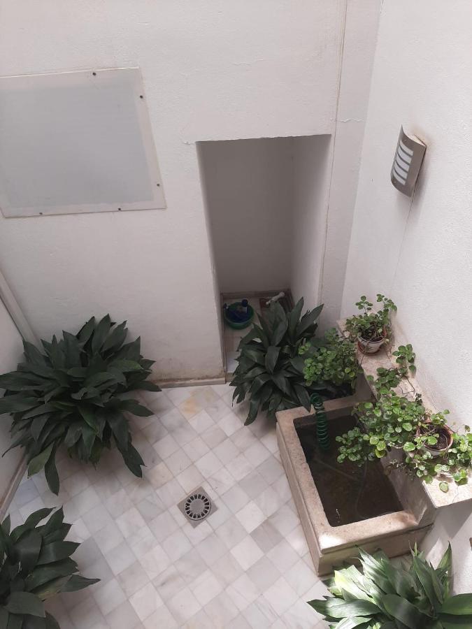 Plaza Nueva's House 